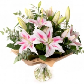 Simply Pink Lilies